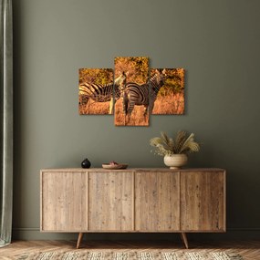 Zebrák képe (90x60 cm)