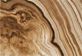 Dekoratív Fotótapéta Hálószobába Fa tégelyek 152x104