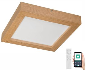 Brilagi Brilagi-LED Dimmelhető lámpa WOODY FRAME LED/24W/230V tölgy 30x30 cm IP44 + távirányító BG0859