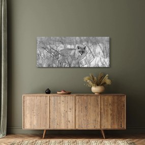 Kép - Róka, fekete, fehér (120x50 cm)