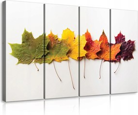 Vászonkép 120x80 Őszi juhar levelek természet meleg otthonosság színátmenet