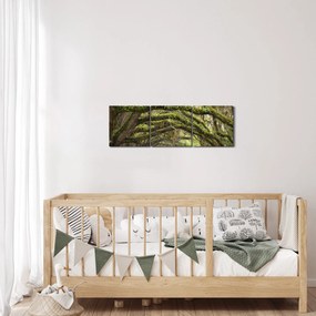 Kép - Oaks Avenue, Charleston, Dél-Karolina, Egyesült Államok (órával) (90x30 cm)