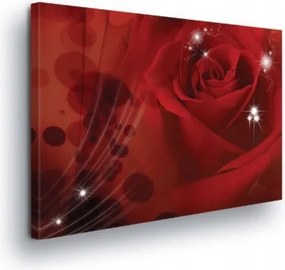 Vászonkép 100x75 Vörös rózsa szerelem szenvedély gyengédség romantika virágok ragyogás