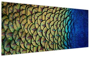 Kép - Pávatollak (120x50 cm)