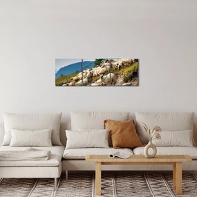 Kép - Egy nyáj birka (órával) (90x30 cm)