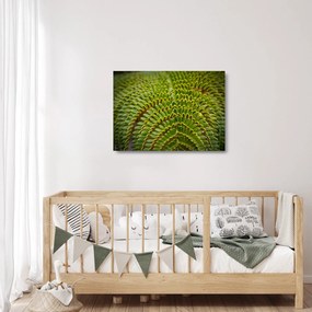 Üveg kép - Fern (70x50 cm)