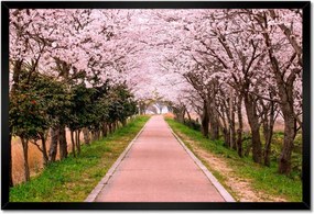 Poszterek keretben 60x40 Virágok