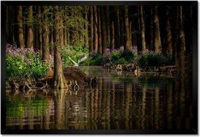 Poszterek keretben 60x40 Tájkép Látvány