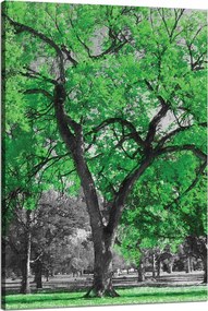 Vászonkép Fekete fák Zöld levelek Művészet 80x120 cm