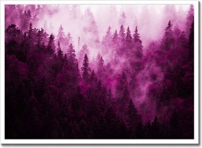 Poszter fehér keretben 70x50 Tájkép Rózsák Hegyek Köd