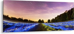 Színes mező képe (120x50 cm)