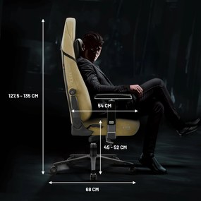 Játék szék Diablo X.Eye Prime Broken Gold Normal Size