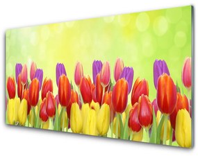 Üvegfotó Tulipán virágok Plant 120x60cm 2 fogas