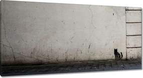 Vászonkép 115x55 Cica