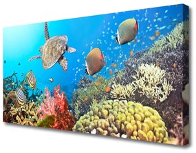 Vászonkép Korallzátony táj 140x70 cm