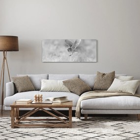Kép - Bagoly, fekete-fehér (120x50 cm)