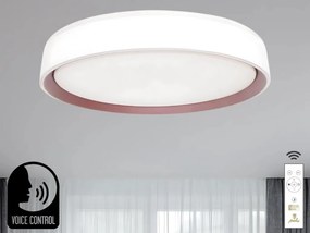 NEDES LC902MV Kerek Mennyezeti Lámpa IP20