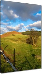 Vászonkép 80x120 Tájkép réttel