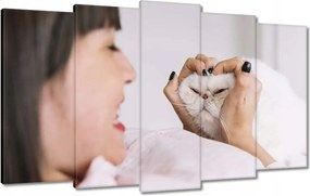 Vászonkép 100x60 Cica Cicák
