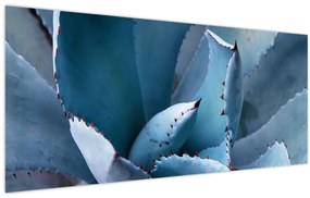 Kép - Agave (120x50 cm)