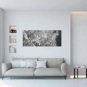 Kép - Lucfenyő erdő (120x50 cm)