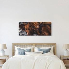 Egy kép fekvő kutyákról (120x50 cm)