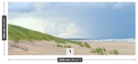 Fotótapéta balti-tenger partján 104x70 cm