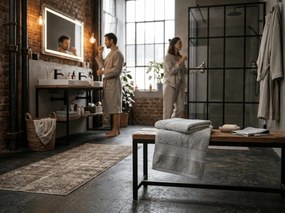 Törölköző EMBORIA 50x100 cm világosszürke, 100% pamut