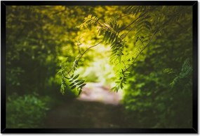 Poszter keretben 60x40 Zöld levelek Levelek