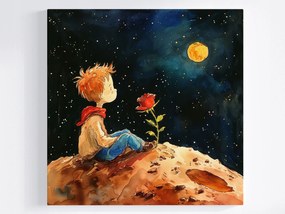 Canvas Vászonkép Gyerekek Kis Herceg Rózsa Kozmosz Bolygó Mese 40x40