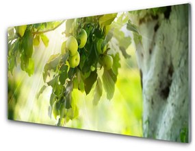 Üvegfotó Almafa ága Nature 125x50 cm 2 fogas