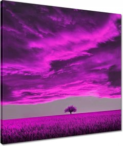 Vászonkép 50x50 Lila tájkép