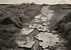 Poszter 59,4x42cm Memóriaút a dűnék között