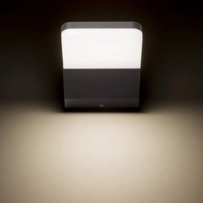 RENDL VIRGO fali lámpa antracitszürke 230V LED 9W IP65 3000K
