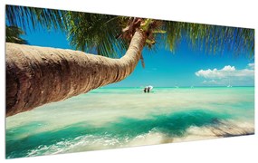 Kristálytiszta tenger és a pálmafa képe (120x50 cm)