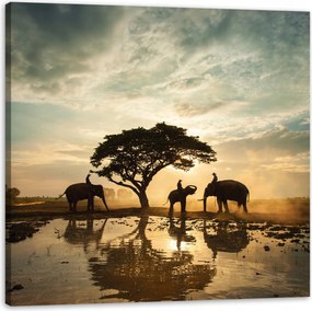 Vászonkép Emberek az elefántokon naplementekor 90X90 cm