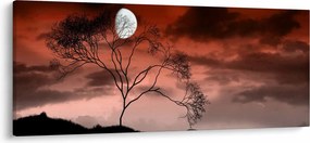 Kép - Hold megvilágítja az éjszakát (120x50 cm)