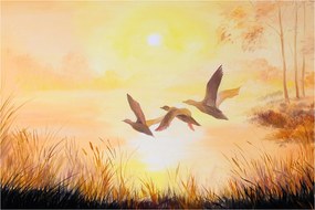 Kép - Daruk naplementekor (90x60 cm)