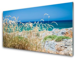 Akril üveg kép Beach Landscape 120x60 cm