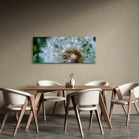 Elvirágzott pitypang képe (120x50 cm)