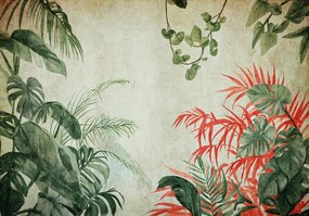 Fotótapéta Flizelin Levelek pálmalevelek gyönyörű növények ragasztó ingyen