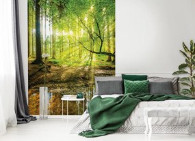 Erdő poszter, fotótapéta, Vlies (206x275 cm, álló)