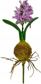 Jácint hagymával 24 cm lila Tavaszi Művirágok