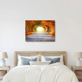 Kép - kapu a fák koronájából (üvegen) (70x50 cm)