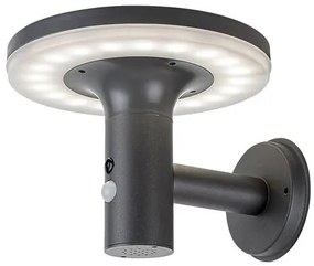 RÁBALUX 77017 ALASKA Modern Kültéri Fali Lámpa Antracit IP44