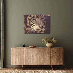 Tigris képe (70x50 cm)