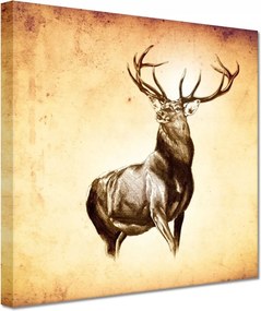 Vászonkép 20x20 Szarvas szarvakkal
