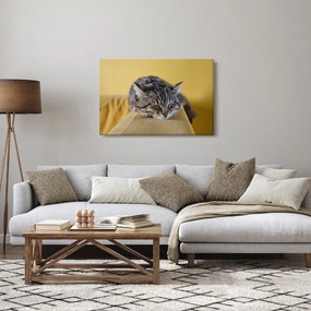 Macska a kanapén képe (90x60 cm)