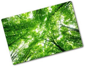 Üveg vágódeszka Zöld erdő pl-ko-80x52-f-103615746