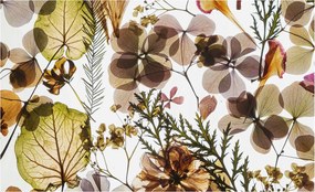 Fali fotótapéta Flizelina a konyhába Természetes kompozíció 416x254 Ragasztó